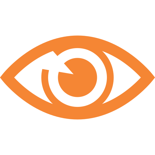 Our Vision