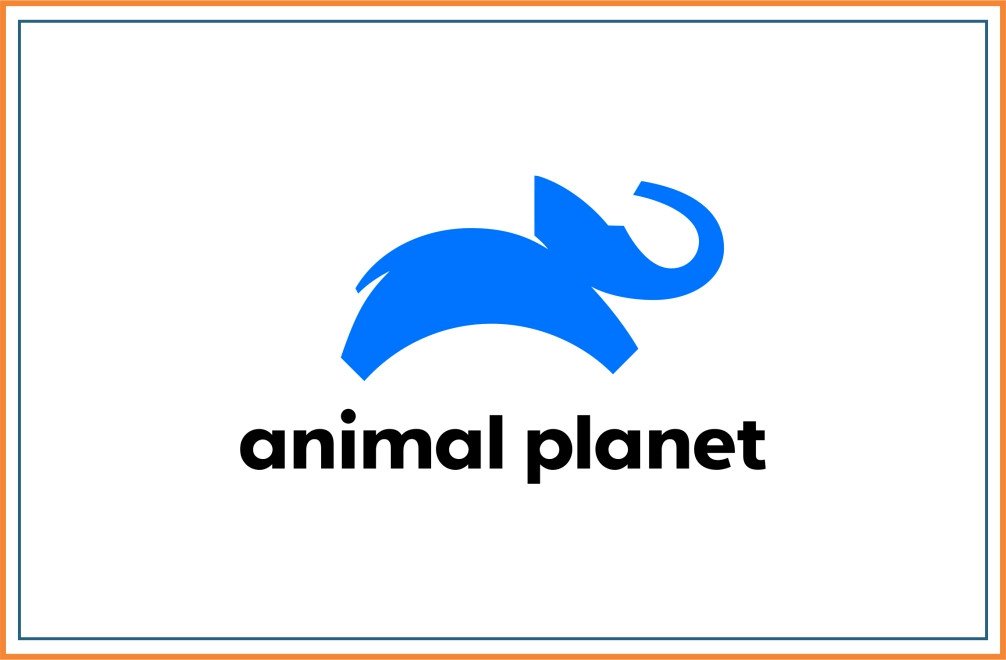 Animal Planet